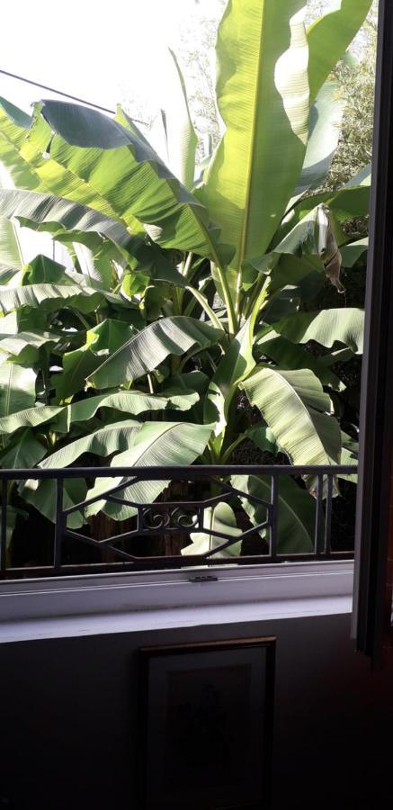 Cote Jardin Bed & Breakfast Perigueux Luaran gambar
